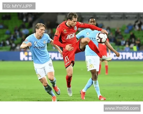 惠灵顿凤凰对阵中央海岸水手2019赛季精彩直播回顾与分析